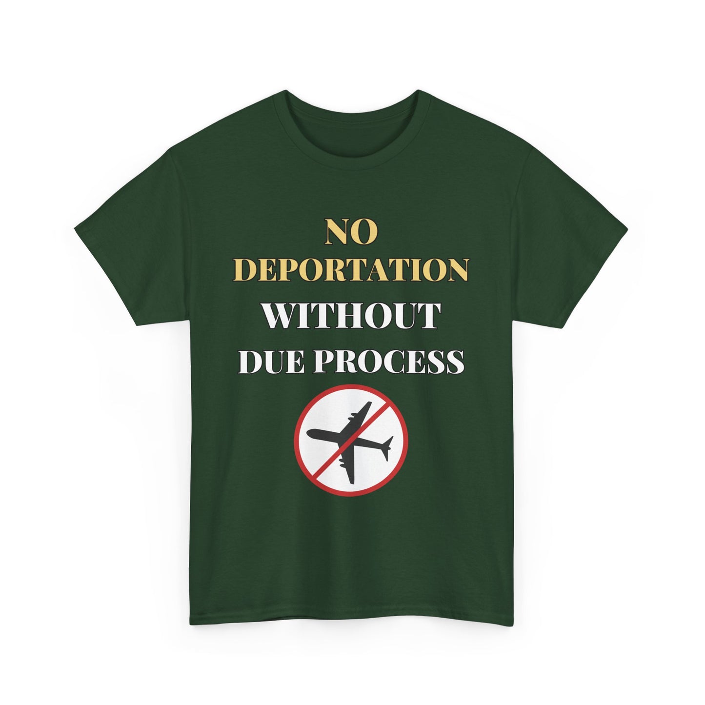 Protest Tee - No Deportation Without Due Process