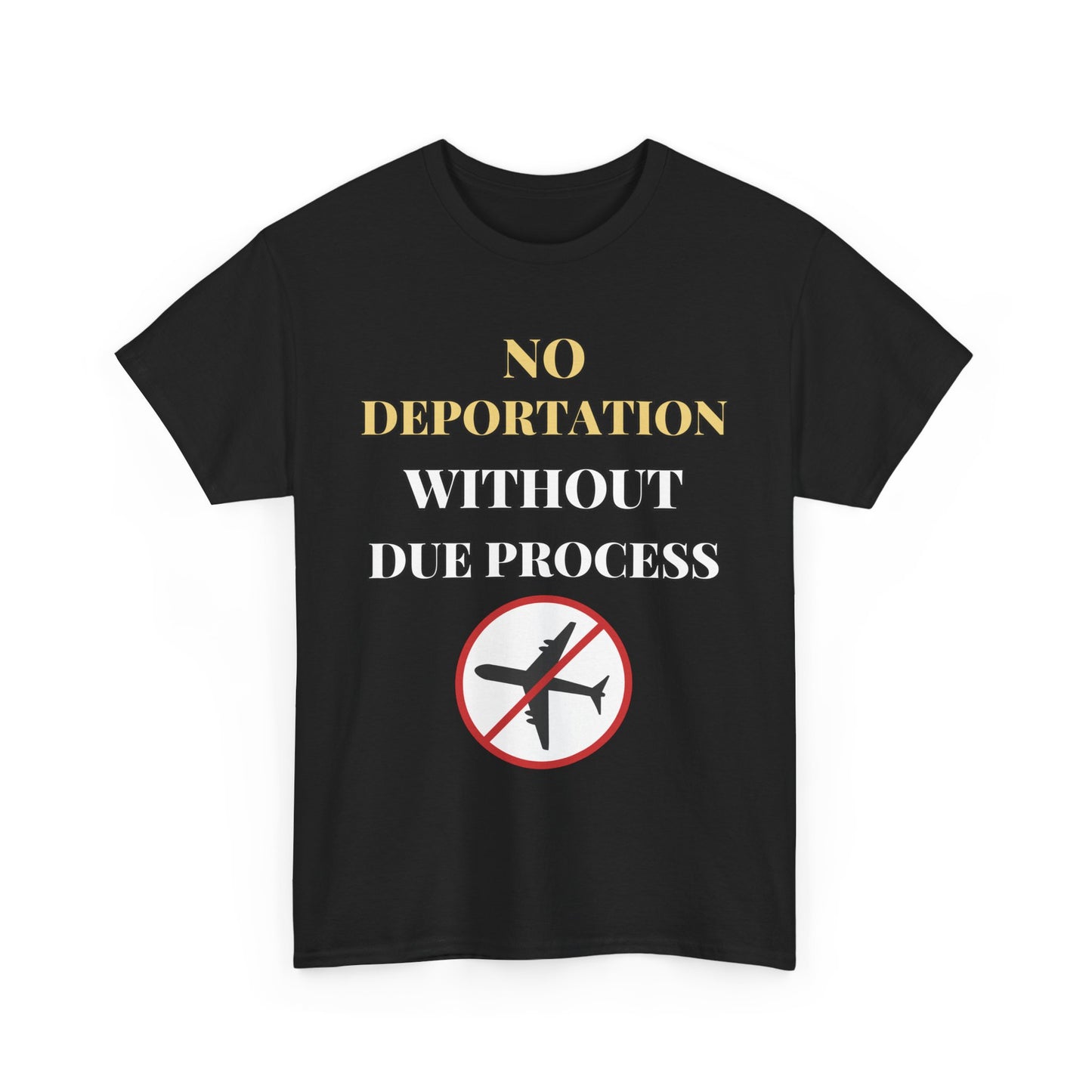 Protest Tee - No Deportation Without Due Process