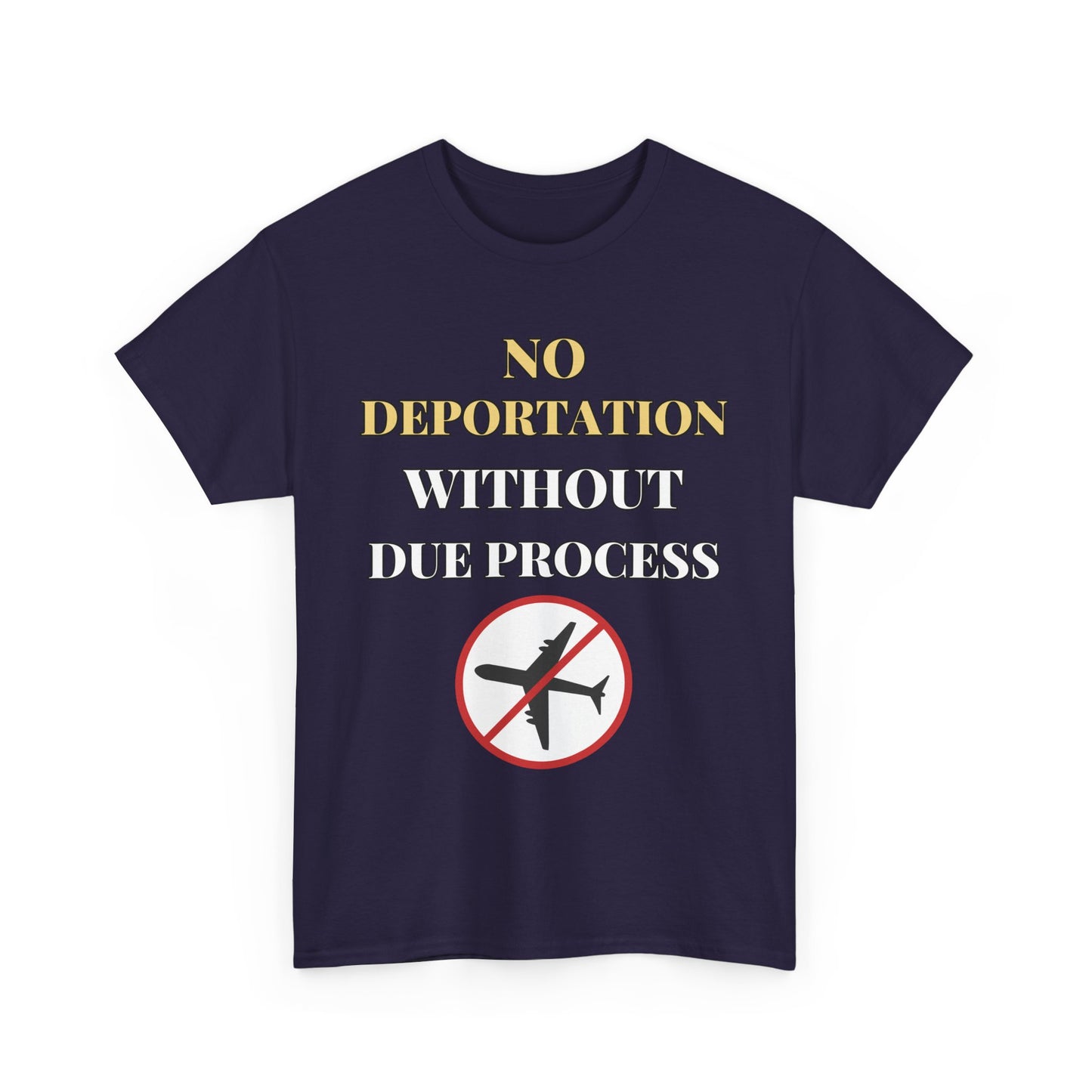 Protest Tee - No Deportation Without Due Process