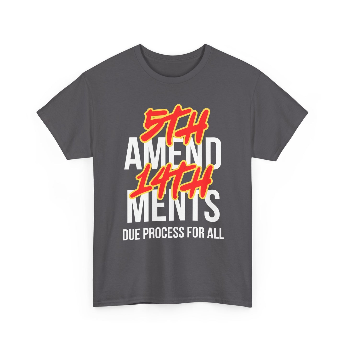 5th and 14th Amendments Due Process For All Design