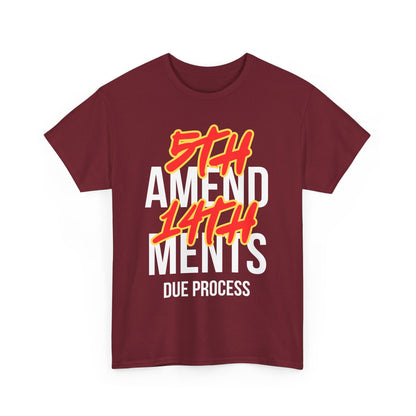 Camiseta de algodón gráfica - Diseño del debido proceso de las enmiendas 5 y 14