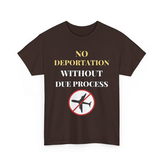Protest Tee - No Deportation Without Due Process