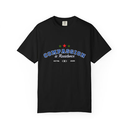 Compassion Is Resistance T-Shirt — Bold Activist Tee